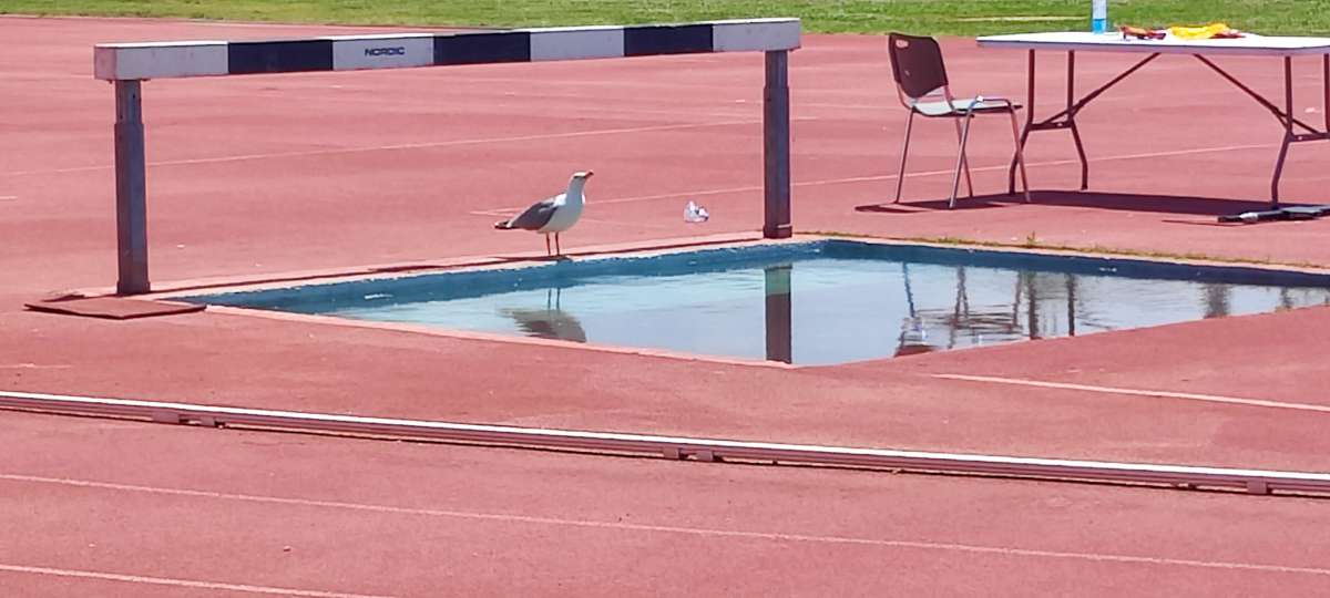 Διασυλλογικοί Κ18 Ανδρών-Γυναικών 10ου Ομίλου, ΕΑΚΝ Άγιος Κοσμάς 19 / 05 / 2024