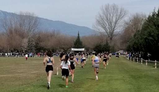  ΑΓΩΝΑ ΔΡΟΜΟΥ ΣΕ ΑΝΩΜΑΛΟ ΕΔΑΦΟΣ 2024, ΚΥΡΙΑΚΗ 14 ΙΑΝΟΥΑΡΙΟΥ 2024, Αθήνα, Δημοτικό Άλσος Νέας Σμύρνης